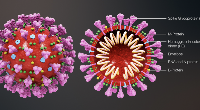 illustration of COVID virus