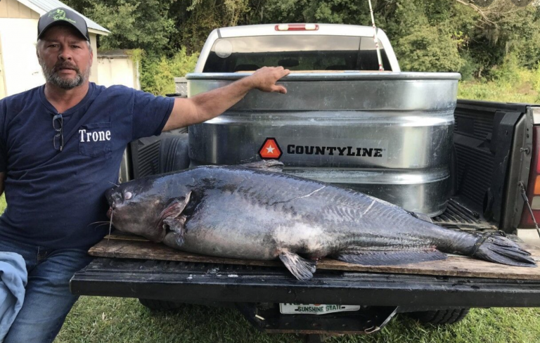 FL Man Lands State Record Catfish - Headline Health