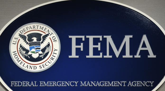 FEMA logo