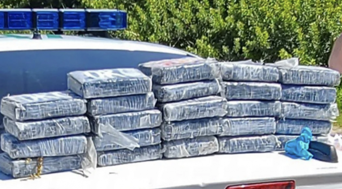 According to the Brevard County Sheriff's Office, the drugs have an estimated value of approximately $1.2 million.