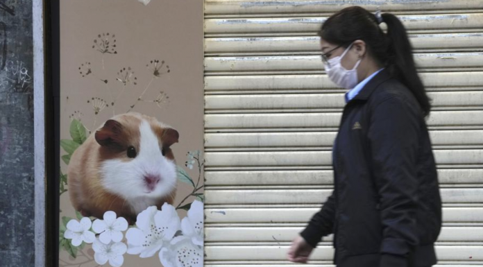 A pet shop is closed after some pet hamsters were, authorities said, tested positive for the coronavirus, in Hong Kong.