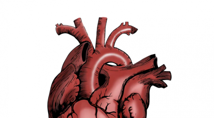 Adults who develop myocarditis from COVID-19 have poorer outcomes than non-COVID-19 cases, including a higher risk of death. (Pixabay)