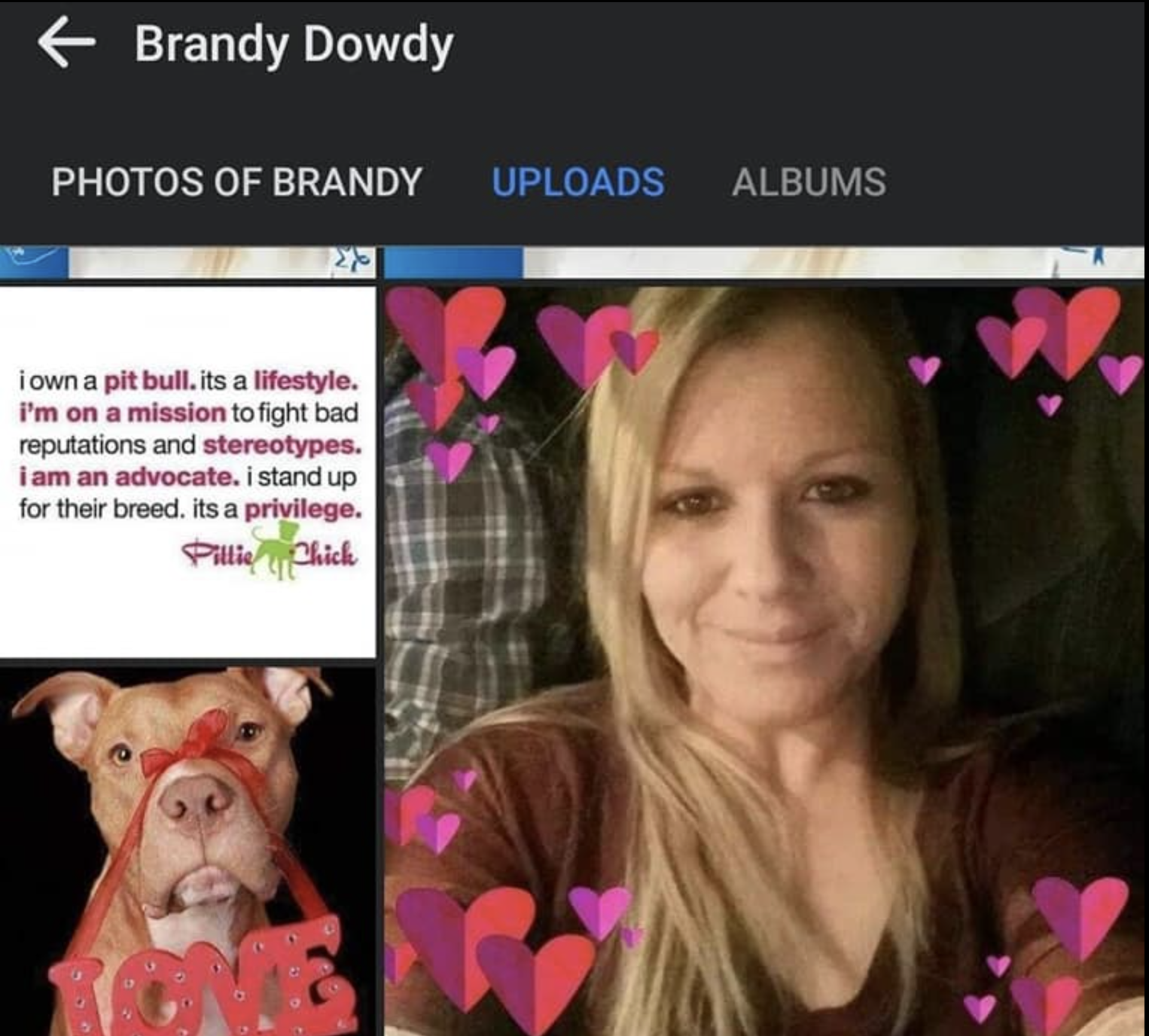 Composite image of Alabama manslaughter suspect and a pit bull terrier dog