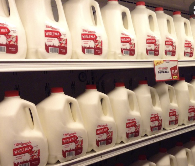 Gallons of milk in a store