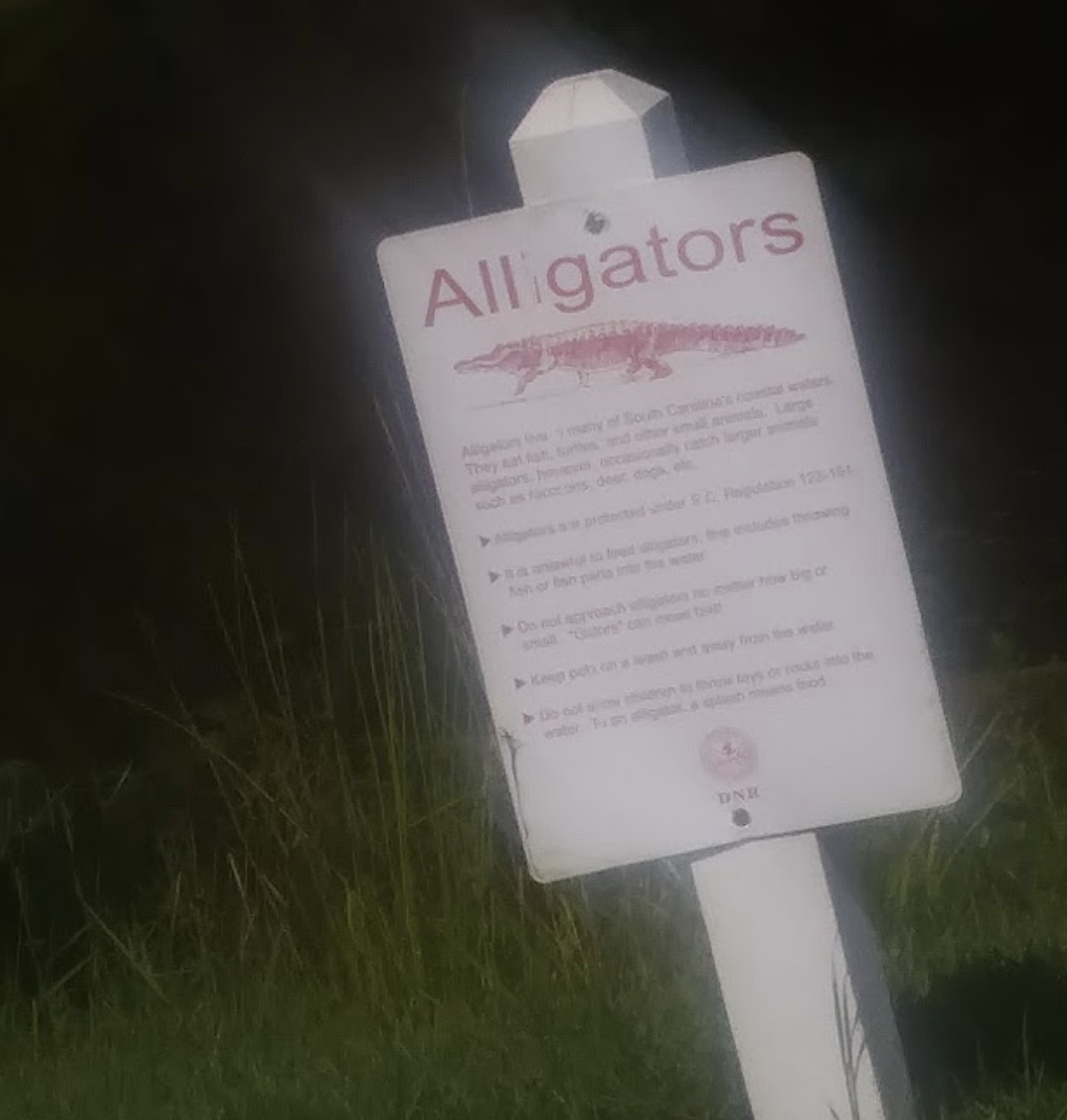 Alligator warning sign posted at Myrtle Beach Golf & Yacht Club