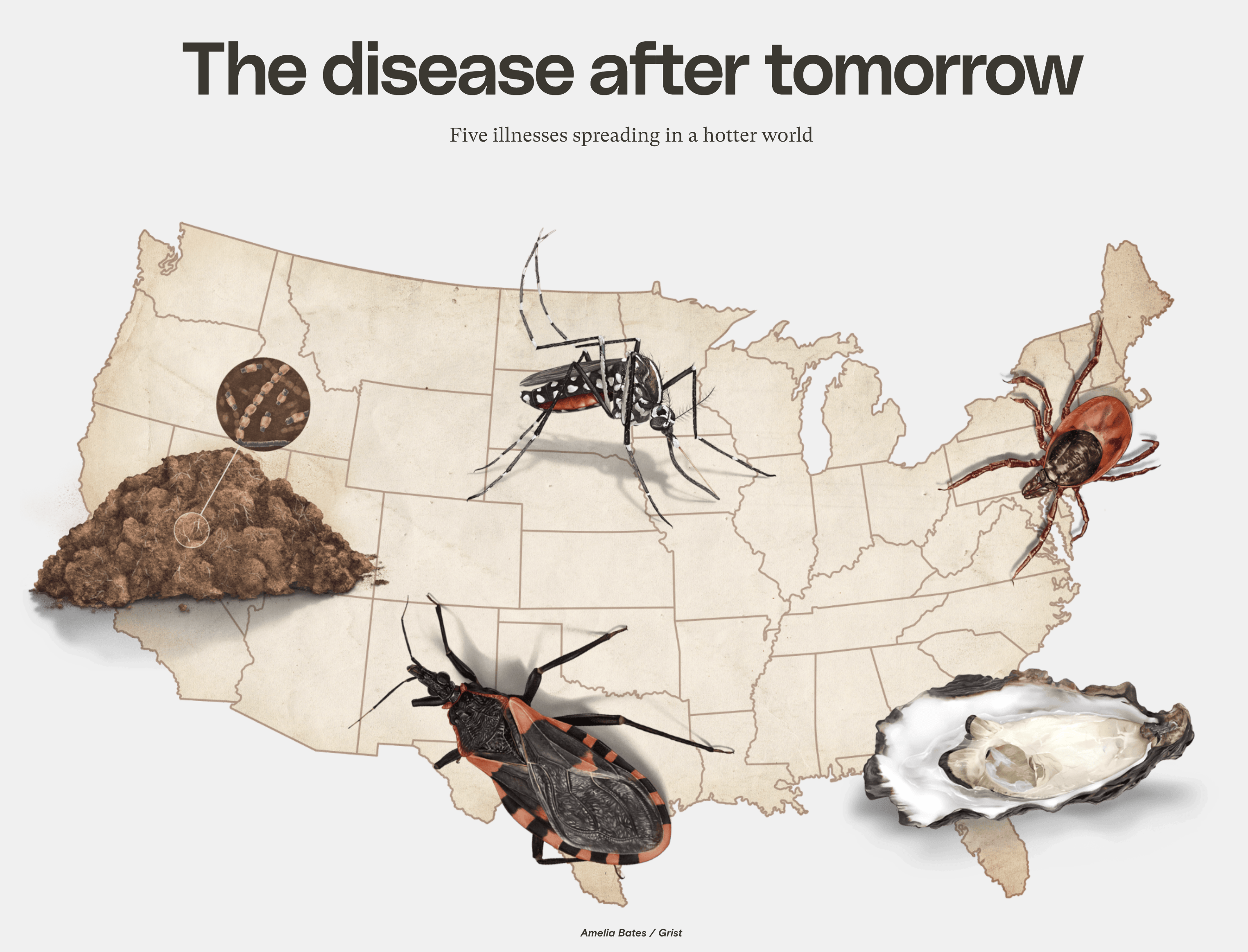 Illustration of The disease after tomorrow Five illnesses spreading in a hotter world