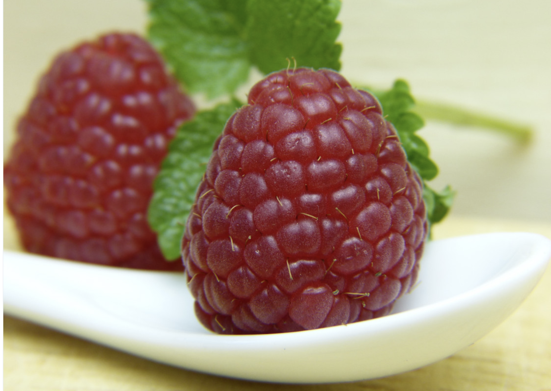 Close up photo of raspberries
