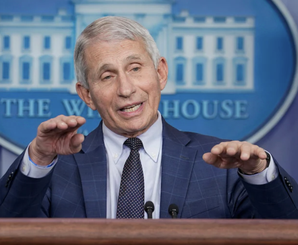 Anthony S. Fauci, director of the National Institute of Allergy and Infectious Diseases