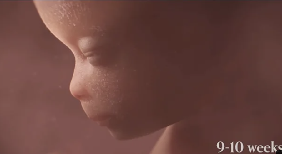 Screenshot: YouTube, Abortion. (documentary)