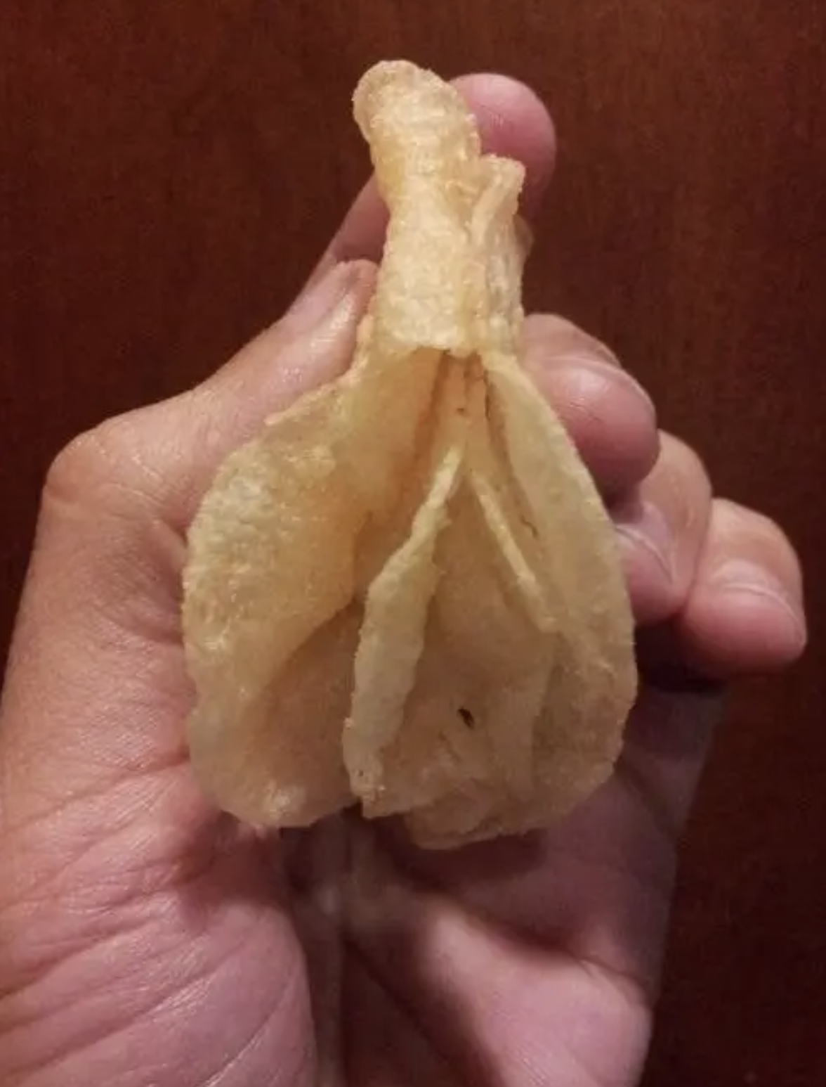 Picture of an oddly shaped potato chip