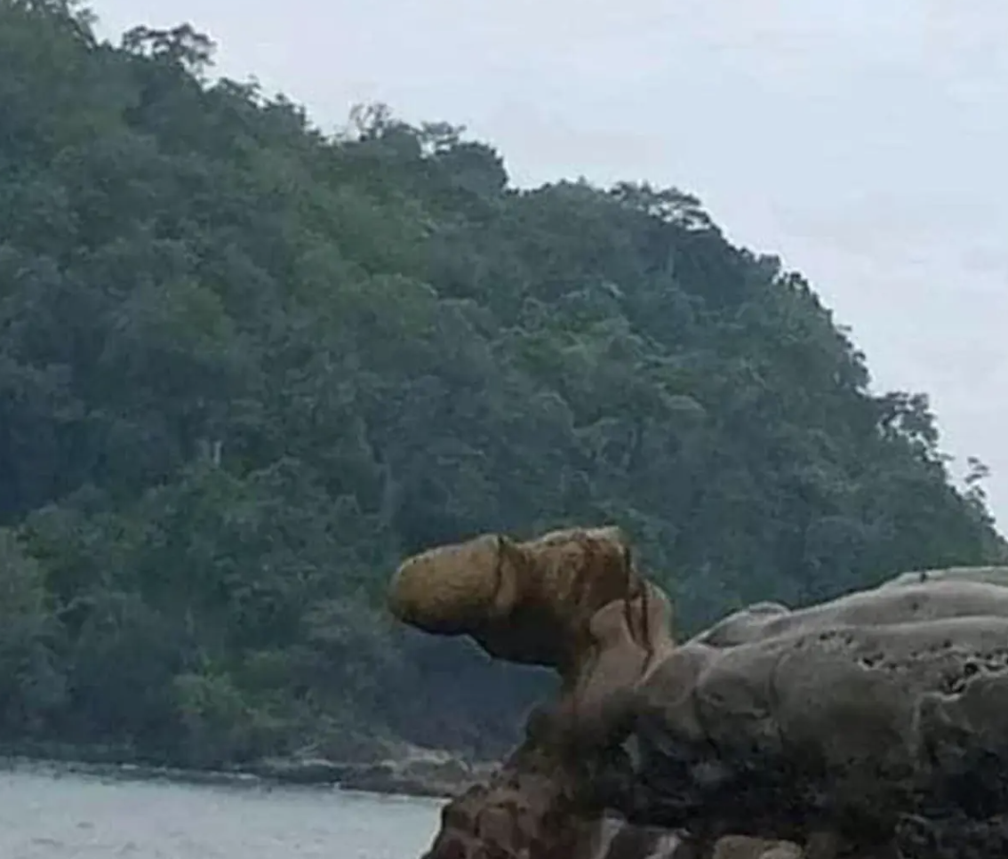 Penis-shaped rock