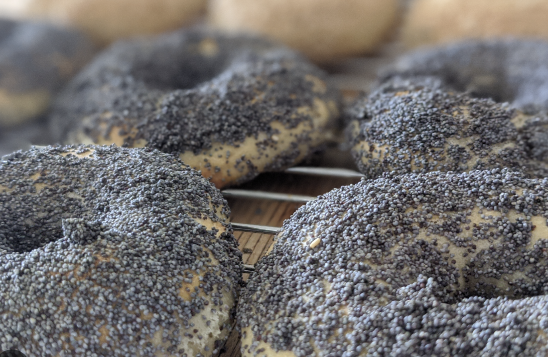 Bagels with poppy seed