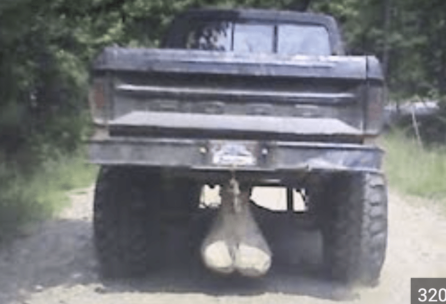 Redneck pickup truck