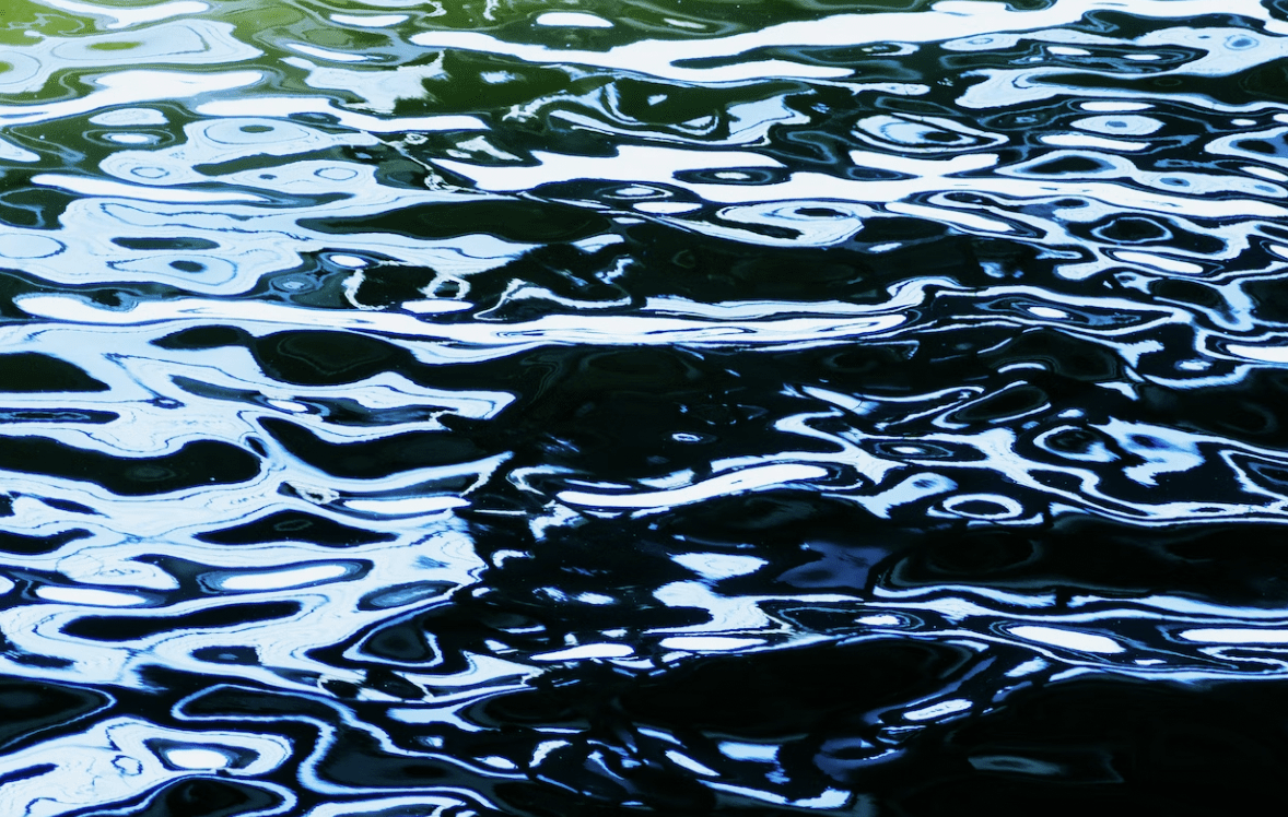 Closeup photo of the surface of a body of water