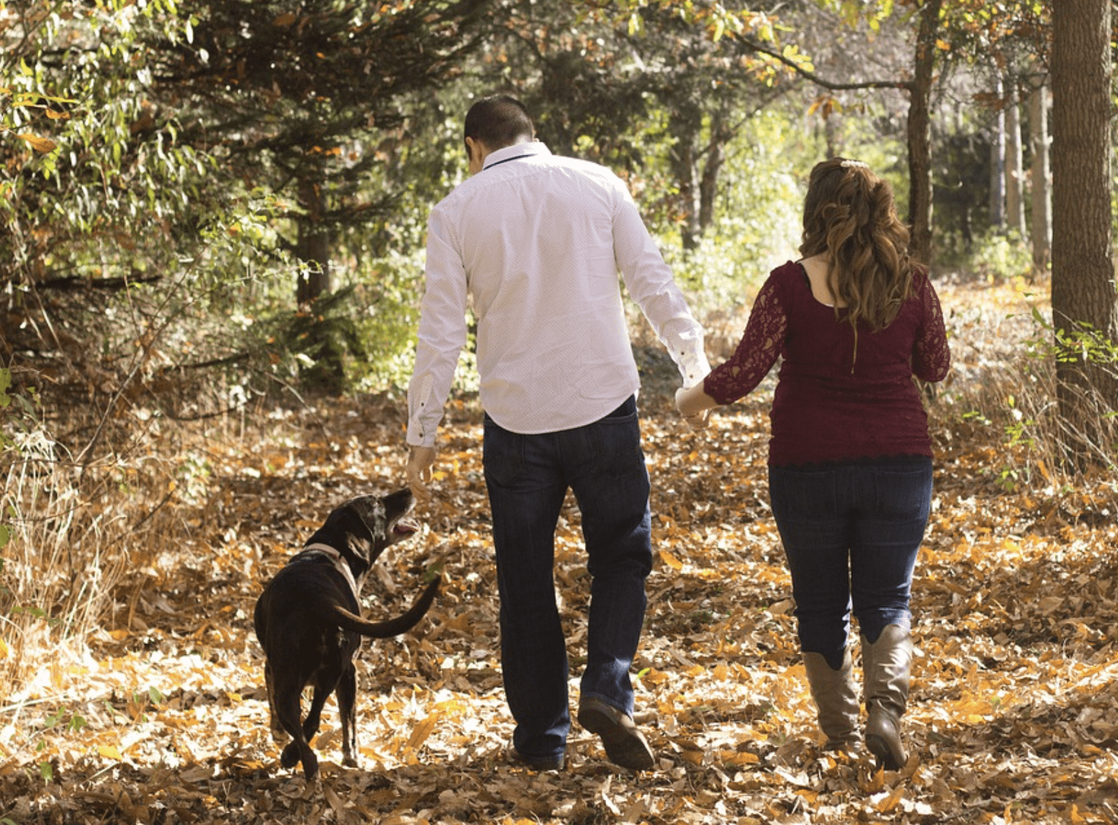 Couple walking with a dog