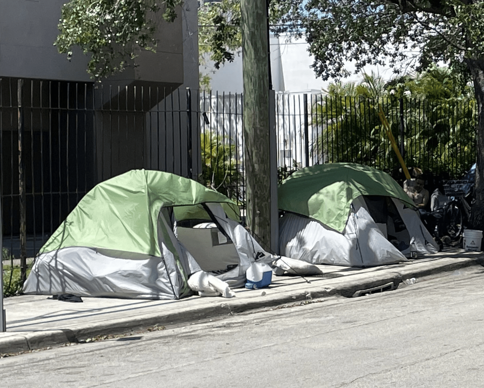 Blocks from Miami’s Jackson Memorial Hospital, people who are homeless set up tents on a sidewalk and under the shade of a live oak tree.