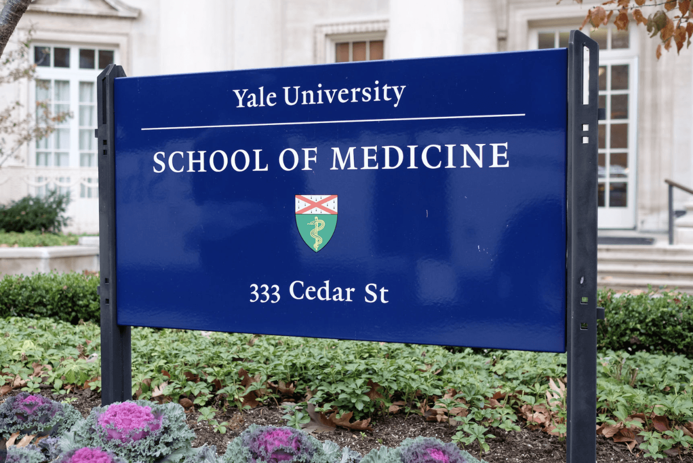 Yale University School of Medicine SIGN