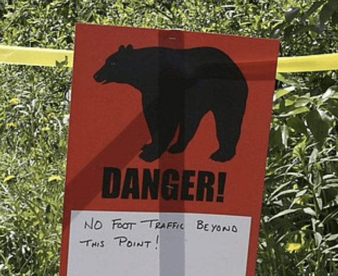 Bear danger sign