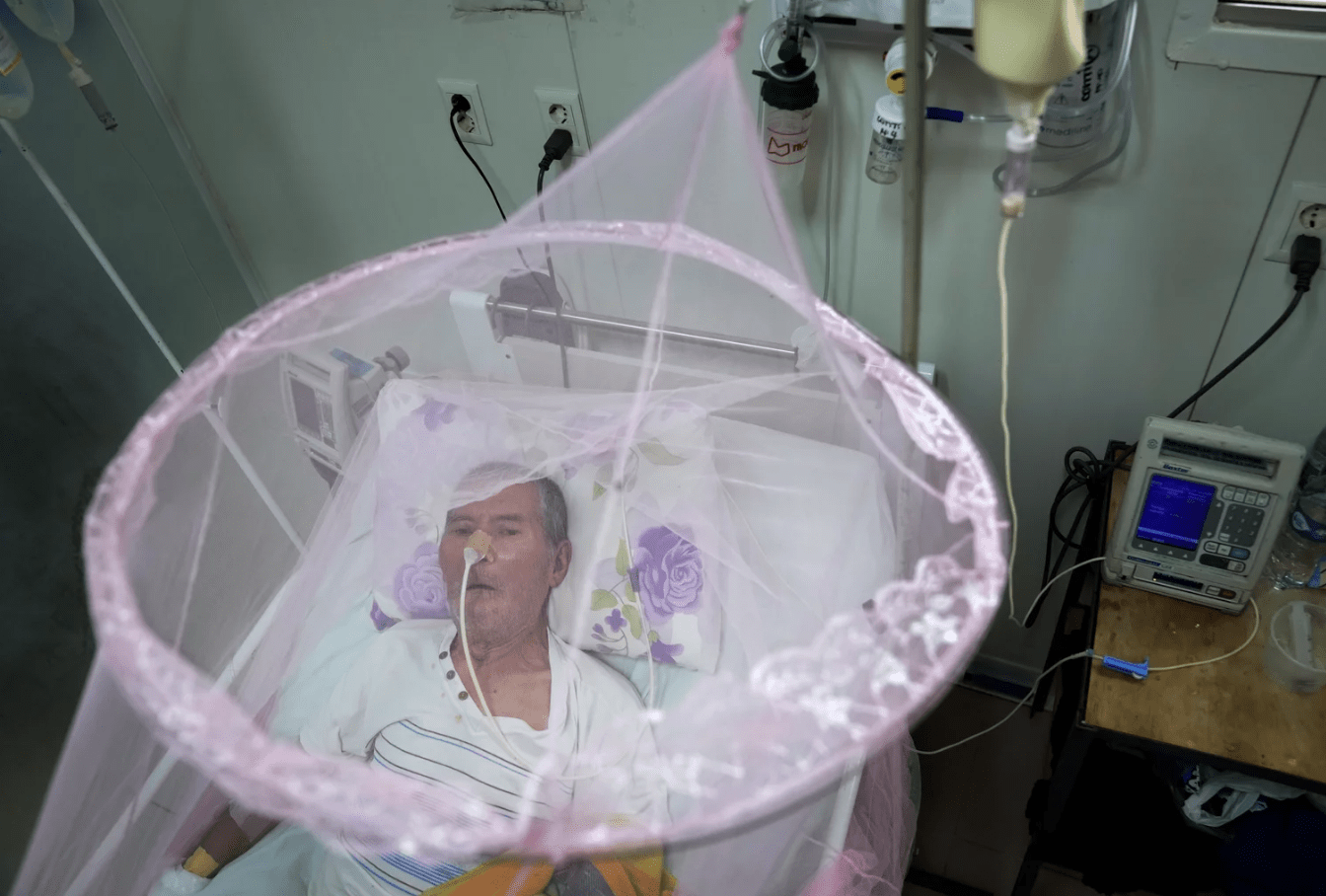 A patient infected with chikungunya looks out from mosquito netting at a hospital in Paraguay.