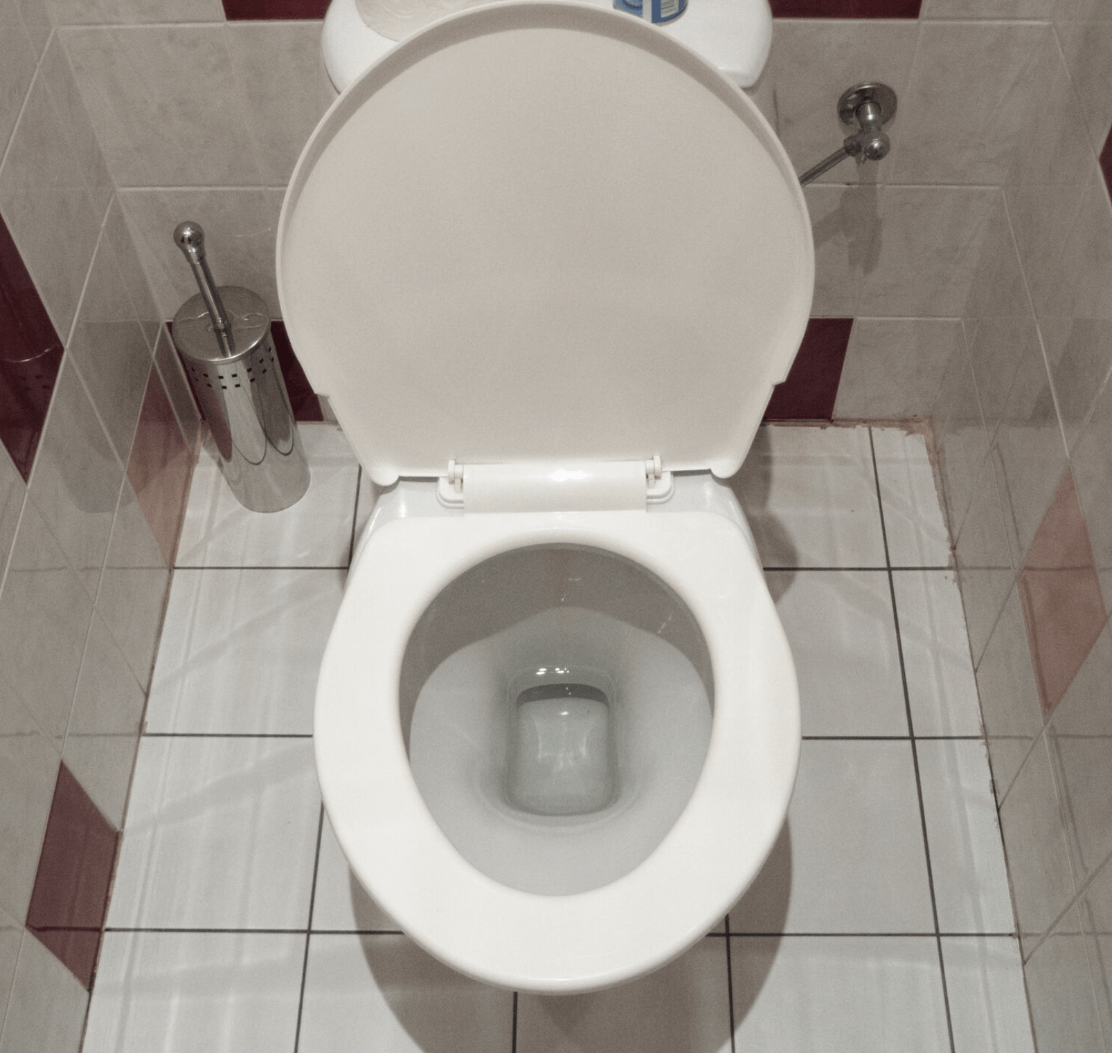 Toilet with open lid